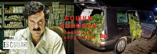 стафф Кострома