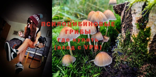 ешки Зерноград