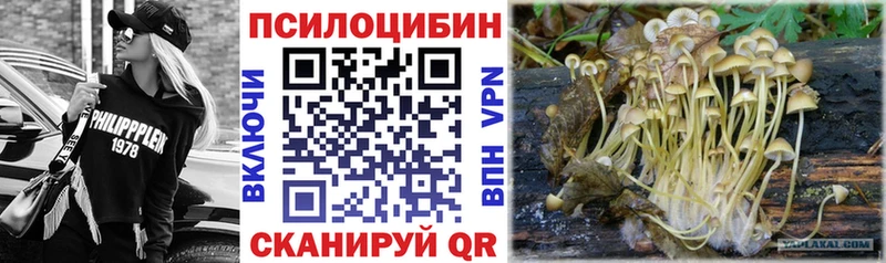 Купить закладки  Сосновый Бор  Псилоцибиновые грибы мицелий 